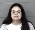 VILLANUEVA, ROXANNE NMI mugshot