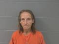 Gideon, TAMMIE IRENE mugshot