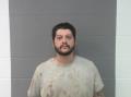 WATSON, BLAKE STEPHEN mugshot